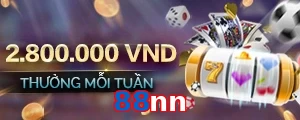 88nn