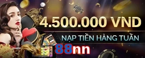 88nn
