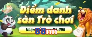 88nn